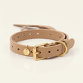The Heritage Collar in Chestnut leather