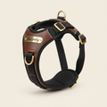 Engraved Leather Dog Harness